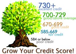 Credit Restore / Repair