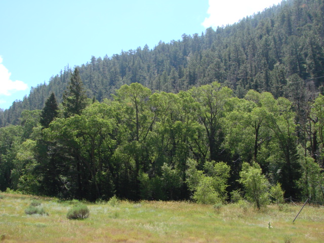River frontage on land for sale in Cabresto Canyon
