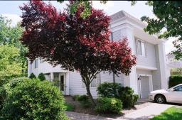 Chatham NJ real estate