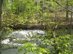 Sutton Woods Condos,Chatham, NJ