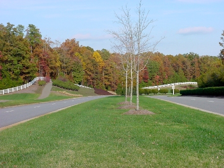 Stonehouse Real Estate