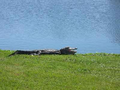 Golf at Parris Island
