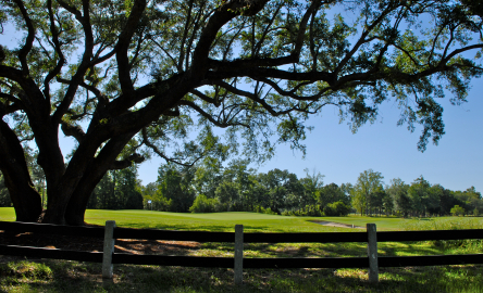 Golf in Beaufort SC