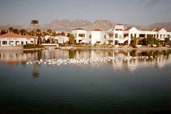 Desert Shores