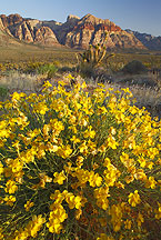 Red Rock Canyon