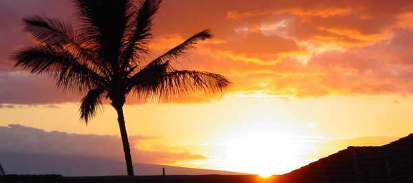 Wailea Vacation Rental