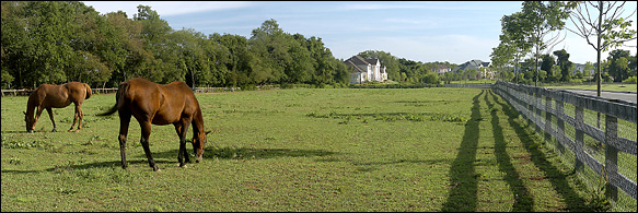 Colts Neck New Jersey