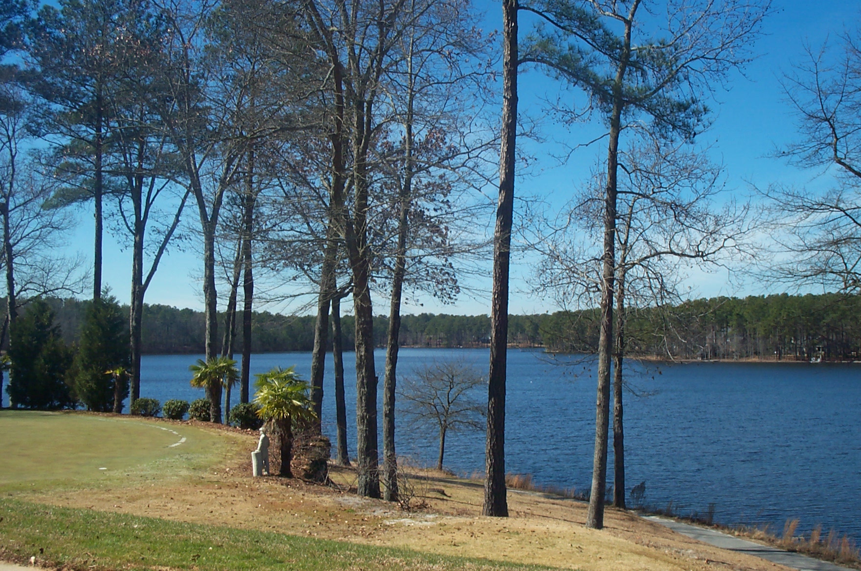 Blythewood SC Real Estate Homes