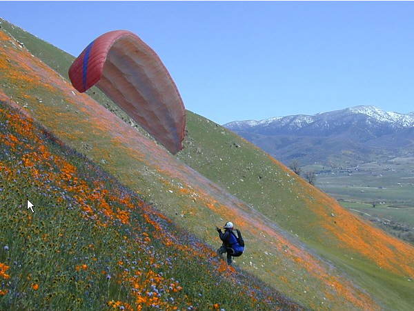 Tehachapi ParaSailing
