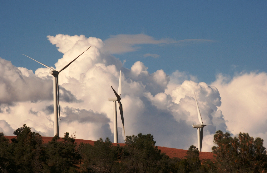 Green Energy Committment...