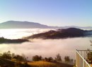 Stallion Springs Fog by Susie Atherton