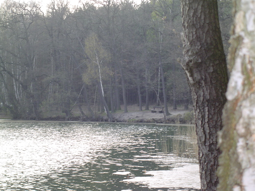 Beautiful Ponds and Lakes