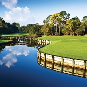palm harbor real estate
