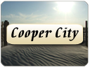 Cooper City FL real estate