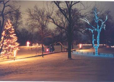 Christmas Lights