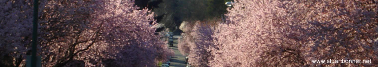 Dunbar neighbourhood, Vancouver West, BC, Canada