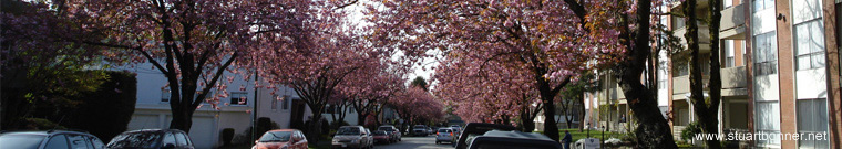 French Street, Marpole, Vancouver West, BC, Canada