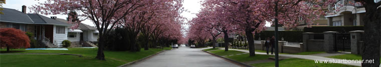 South Cambie, Vancouver West, BC, Canada