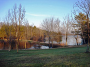 Bluegill bay park