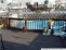 yard/pool/deck no image