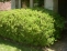 Property.view_front no image