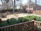 Backyard no image