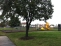 PLAY GROUND no image