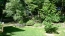 Beautiful yard no image