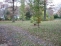 Property.view_front no image