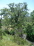 Creek Image 1 no image