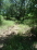 Pathway no image