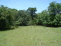 Field View 2 no image