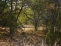 Property.view_property no image