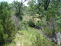 Creek Image 2 no image