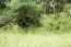 Property View no image
