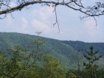 Mountain Vistas no image