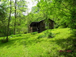 Near Greenbrier River Trail no image