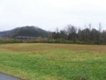 view 1 no image