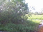 Bay Lake Ranch 34771 no image