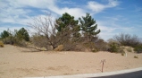 Property.view_front no image