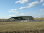Country Living no image