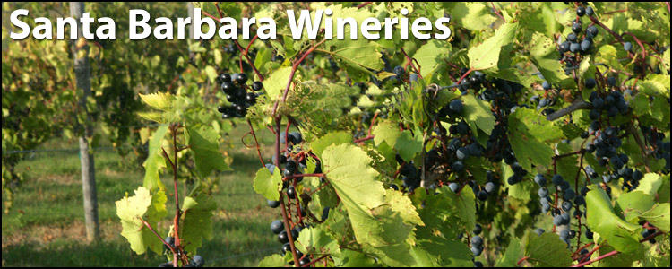 Santa Barbara Wineries