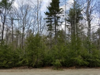 Map 35 Lot 11-30 Ring Bolt Lane, Surry, ME, 04684 United States