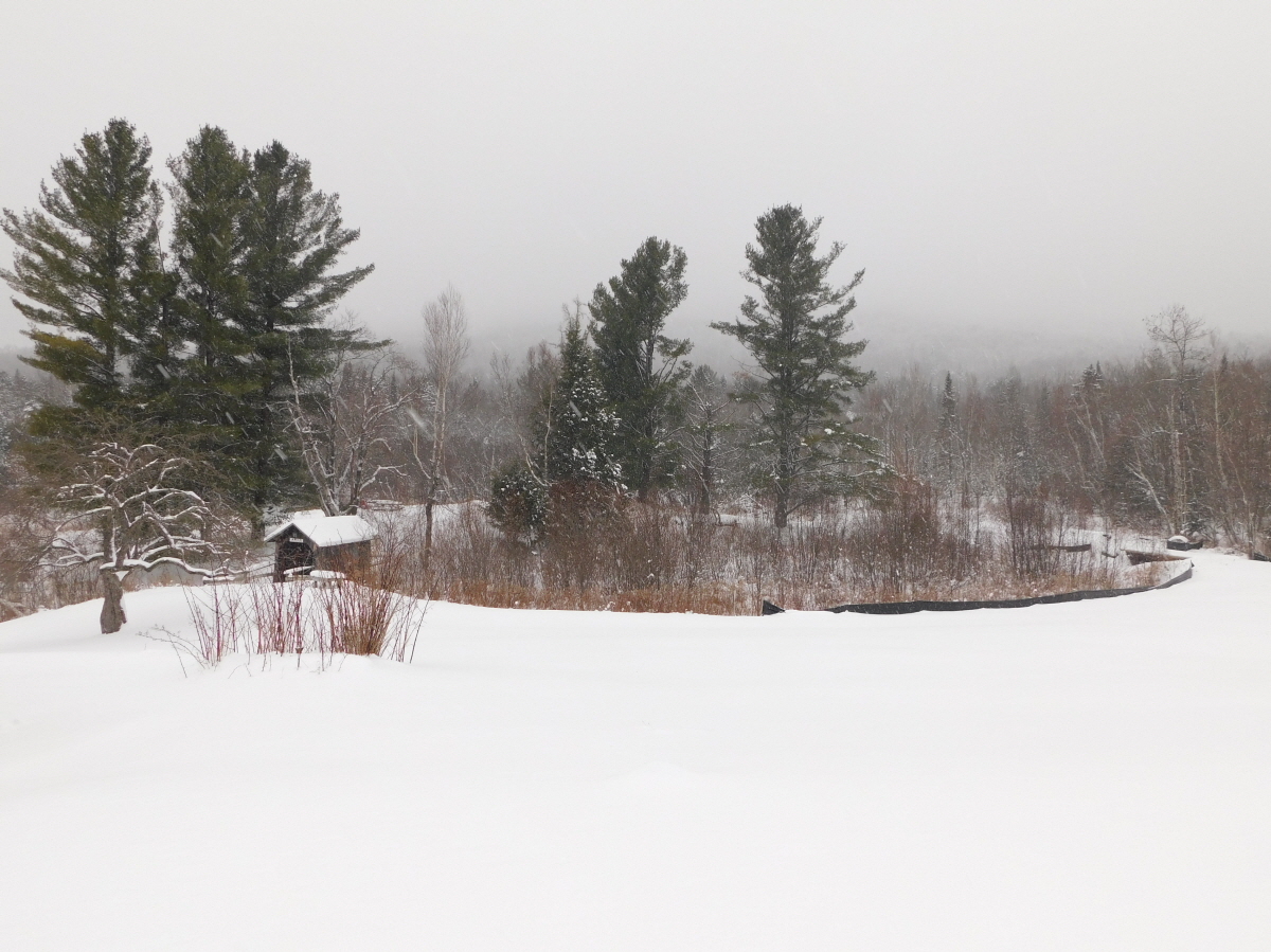 195 VT Route 242, Westfield, VT, 05874 United States